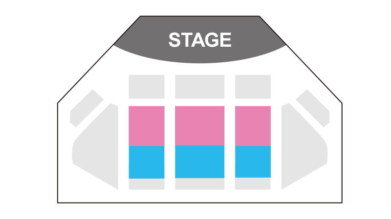 娱乐表演观赏区域的图像
