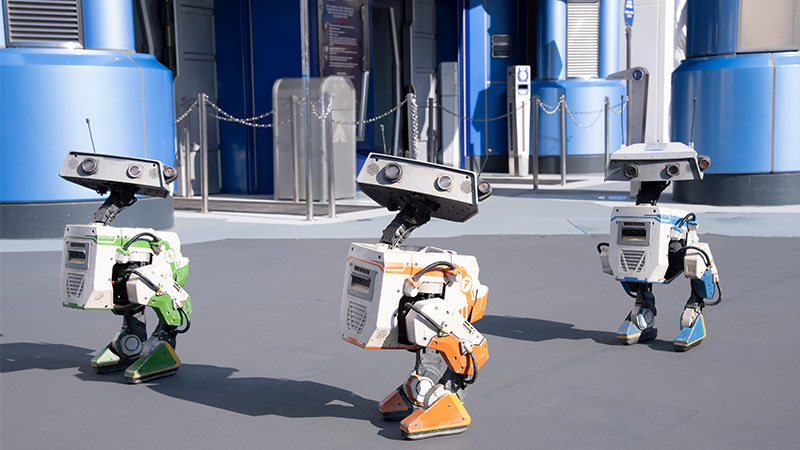 image of BDX Droids