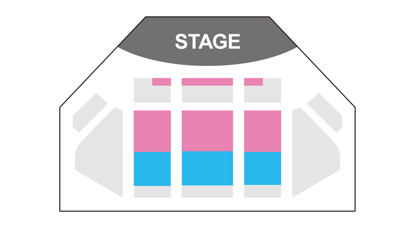 娱乐表演观赏区域的图像