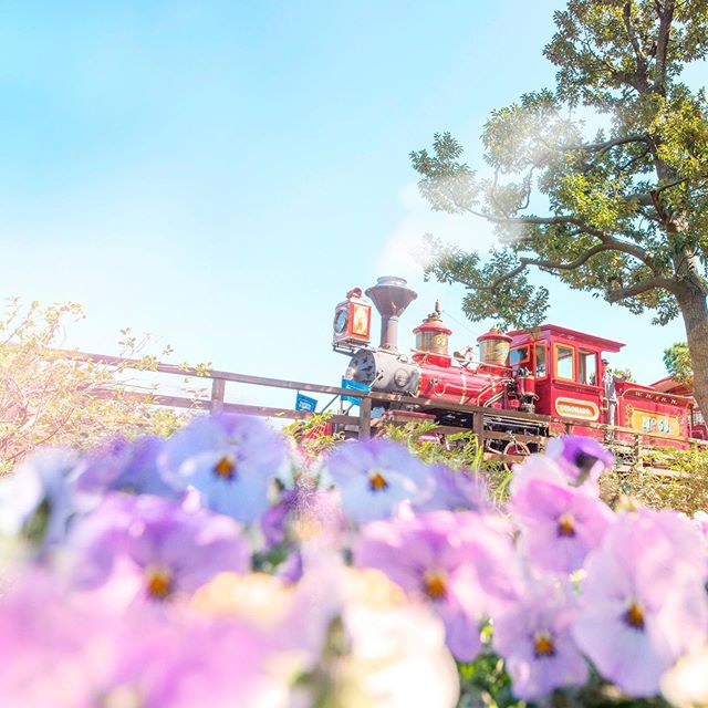 公式 インスタ映えな1日を楽しもう 東京ディズニーランド