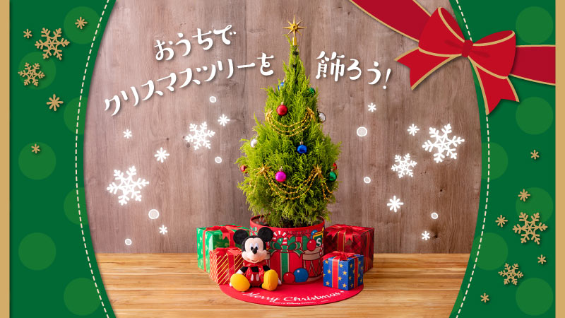 東京ディズニーリゾート限定のクリスマスツリーが登場☆特別な生木 ...