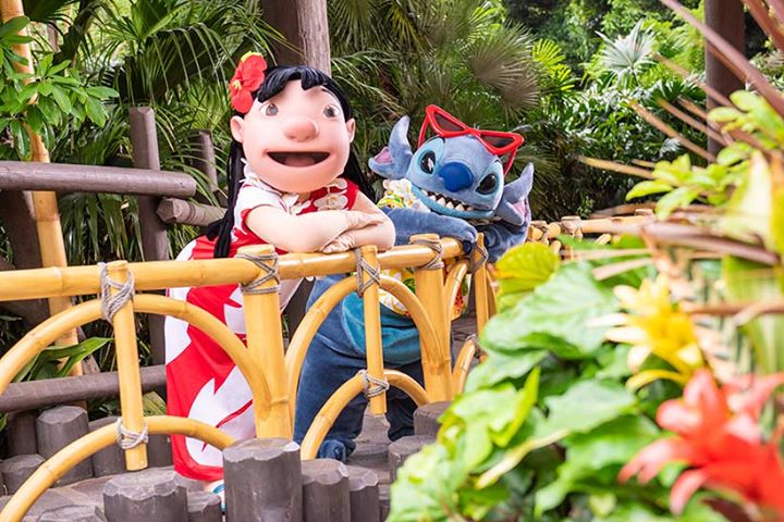【6月21日はスティッチのスクリーンデビューの日♪】そんな今日は、スティッチとリロが東京ディズニーランドをお散歩する様子をお届けします♪仲良くお花を眺めたり、ポーズとったり…...のイメージ