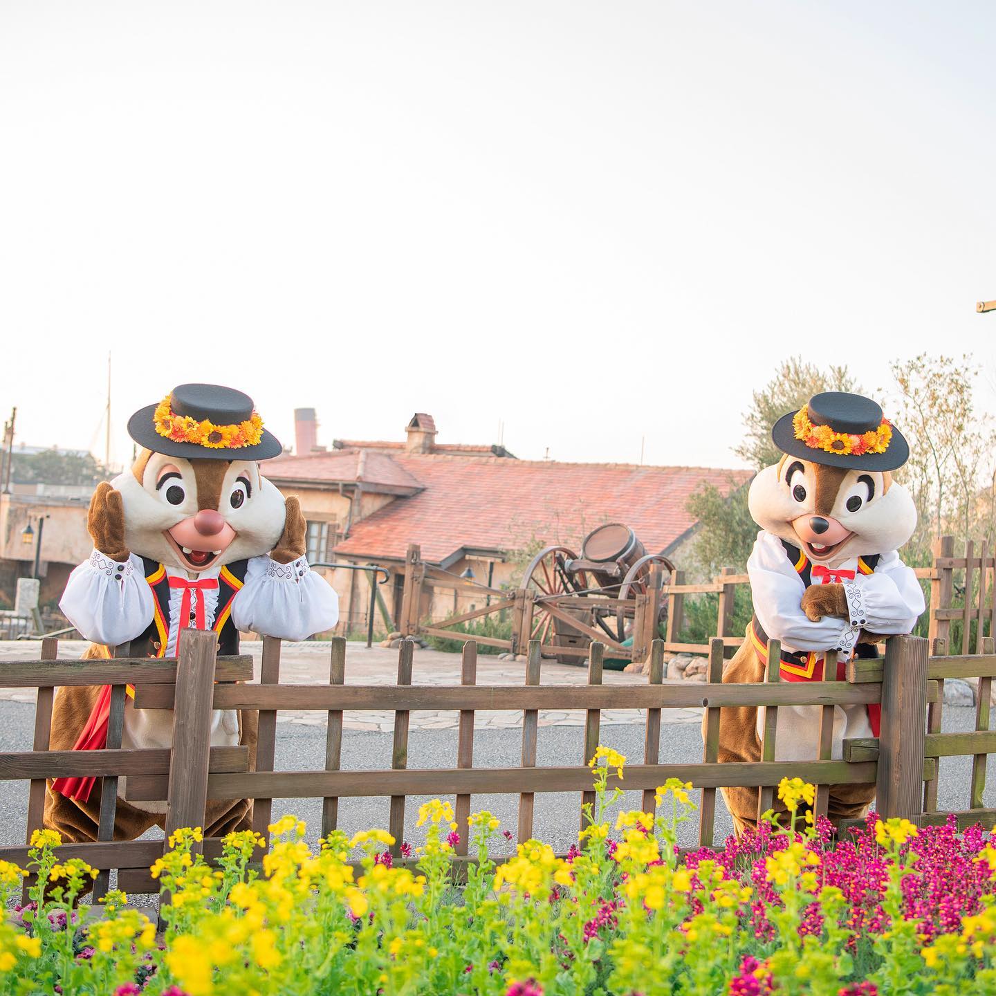 公式 検索結果 東京ディズニーリゾート 公式 検索結果 東京ディズニーリゾート