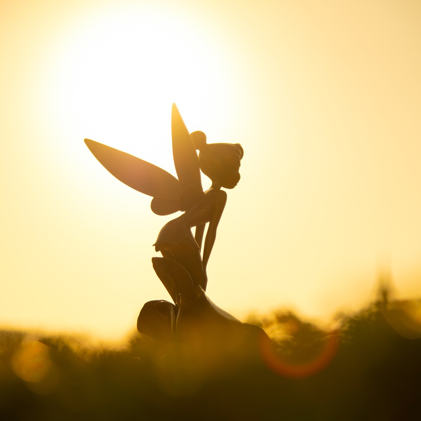 A perfect silhouette at sunset.
どんな1日だったかな？
#sunset #tinkerbell #tokyodisneyland...のイメージ