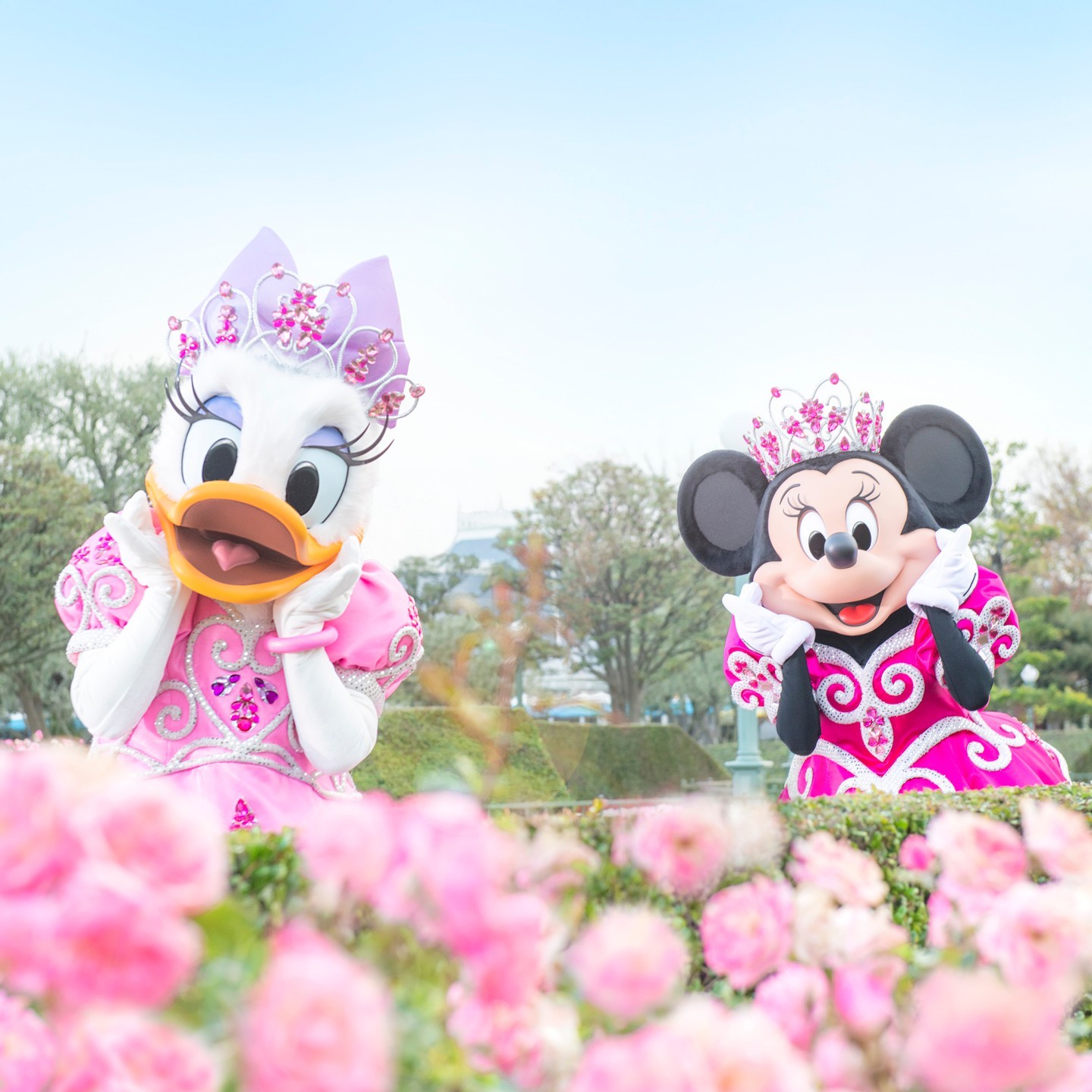 公式 検索結果 東京ディズニーリゾート 公式 検索結果 東京ディズニーリゾート