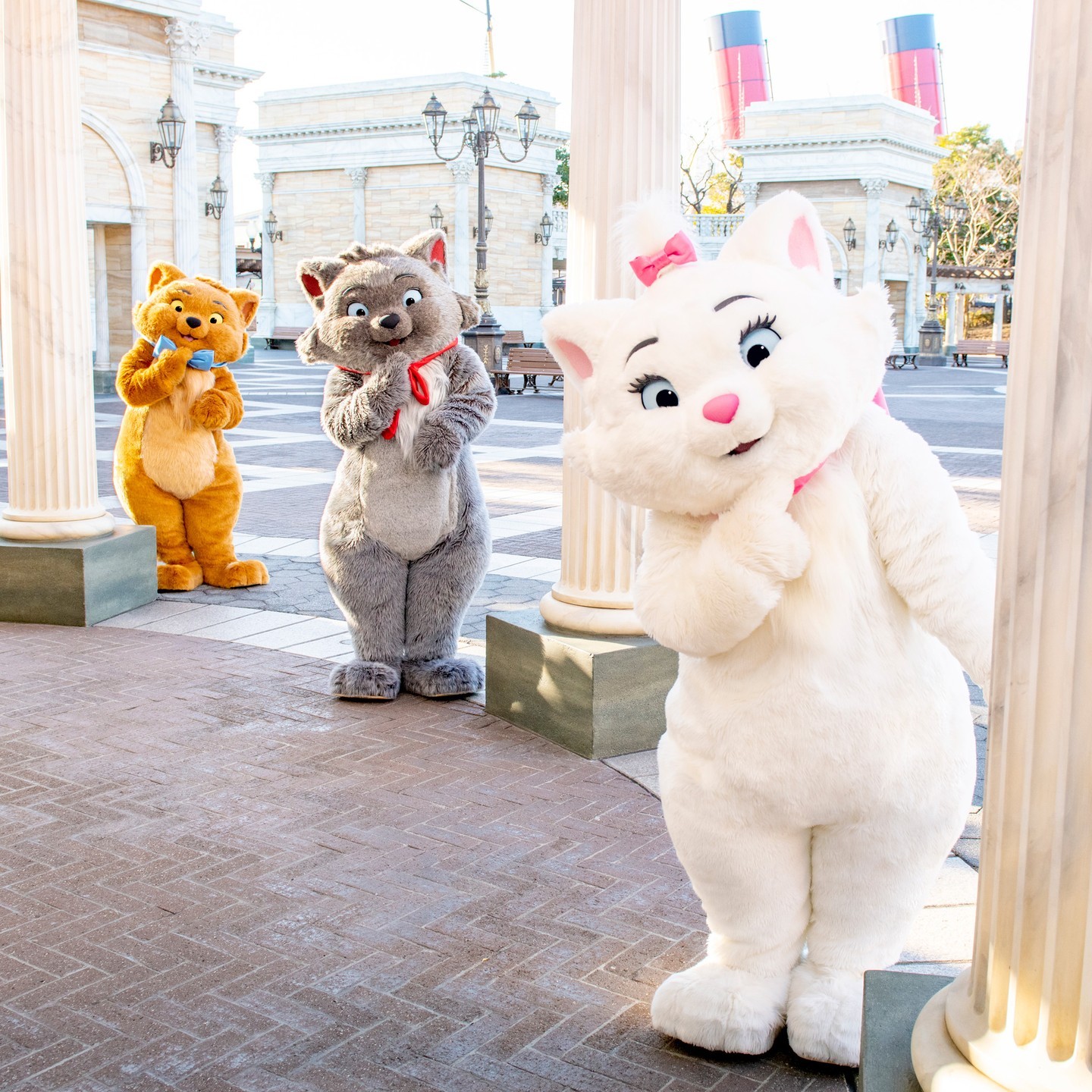 Cutie Cats!
にゃんにゃんにゃん♪
#thearistocats #marie #berlioz #toulouse #americanwaterfront...のイメージ