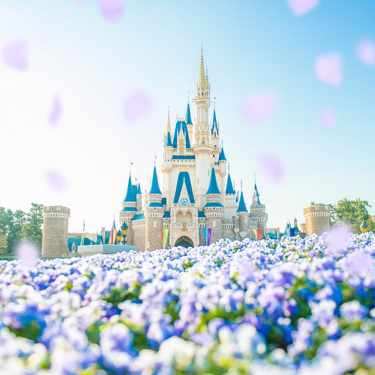 公式 最新ニュース 東京ディズニーリゾート