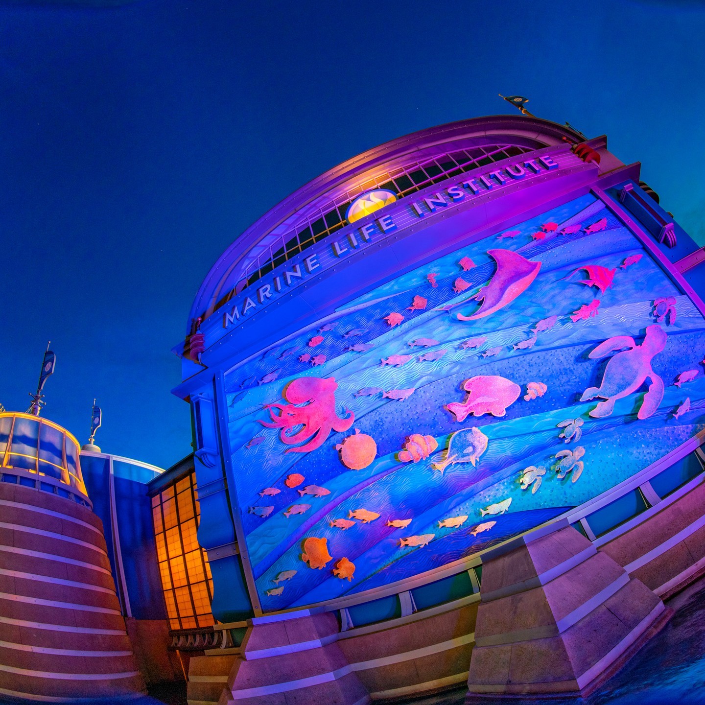 Let's explore the world of the sea!
ニモやドリーたちと海の世界へ
#nemoandfriendssearider...のイメージ