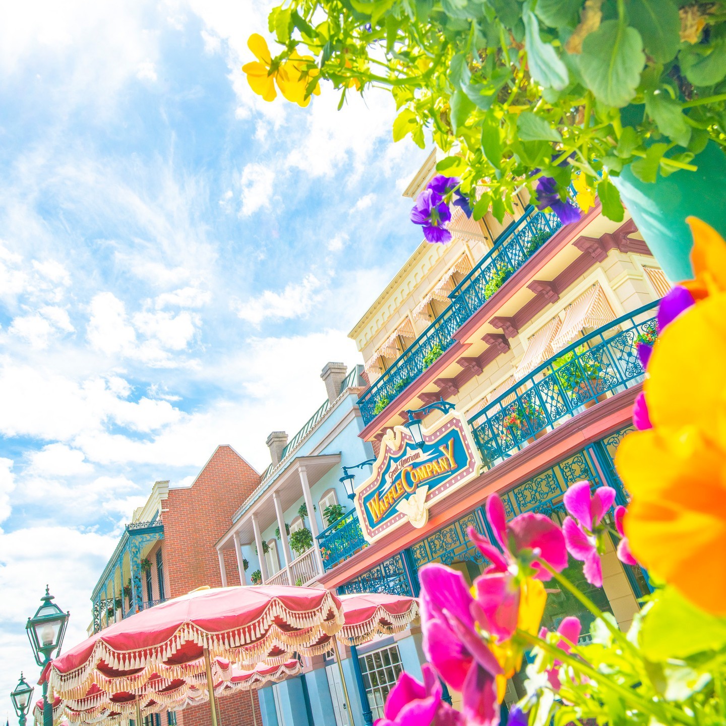 公式 検索結果 東京ディズニーリゾート 公式 検索結果 東京ディズニーリゾート