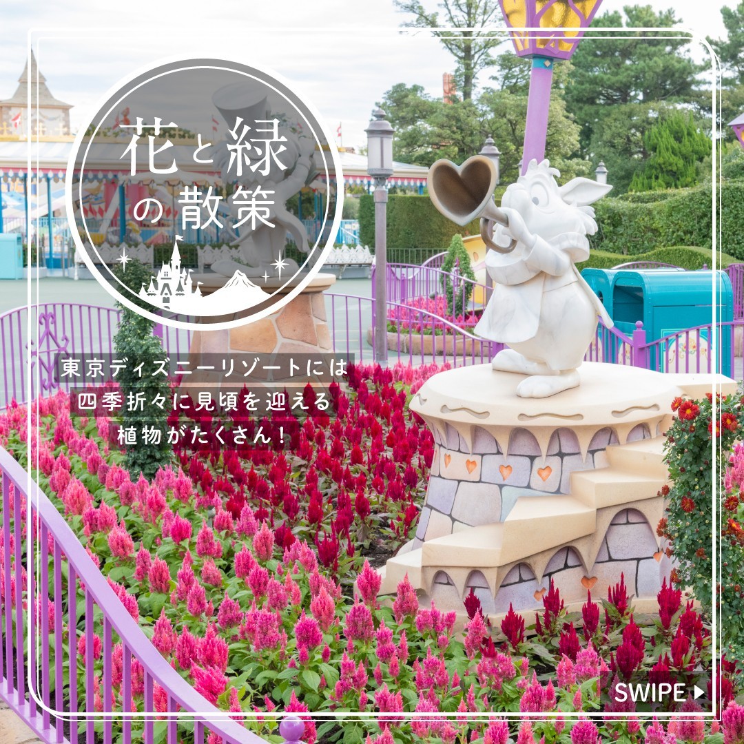 公式 東京ディズニーリゾート オフィシャルウェブサイト 東京ディズニーリゾート
