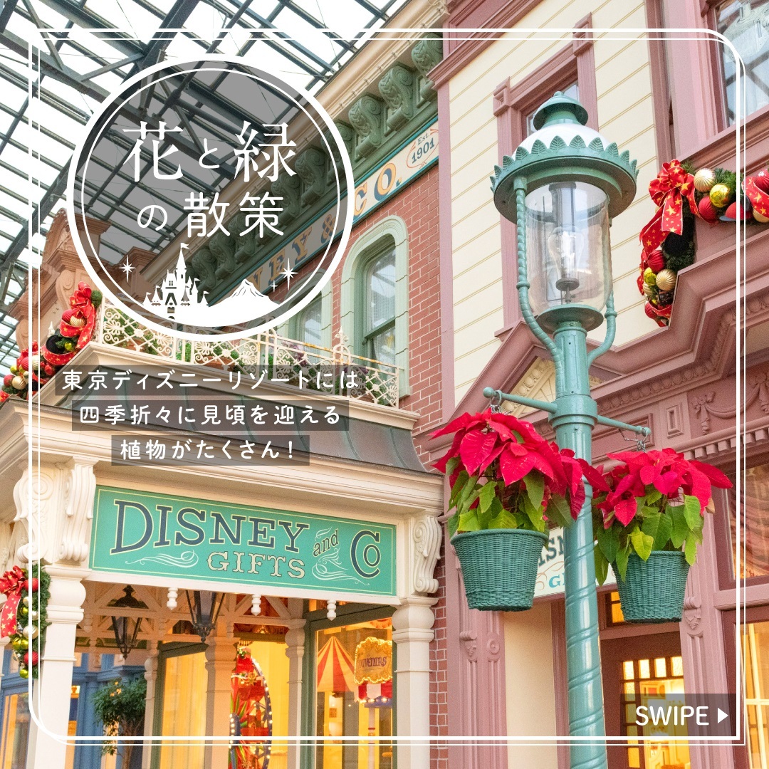 公式 東京ディズニーリゾート オフィシャルウェブサイト 東京ディズニーリゾート 公式 東京ディズニーリゾート オフィシャルウェブサイト 東京ディズニーリゾート