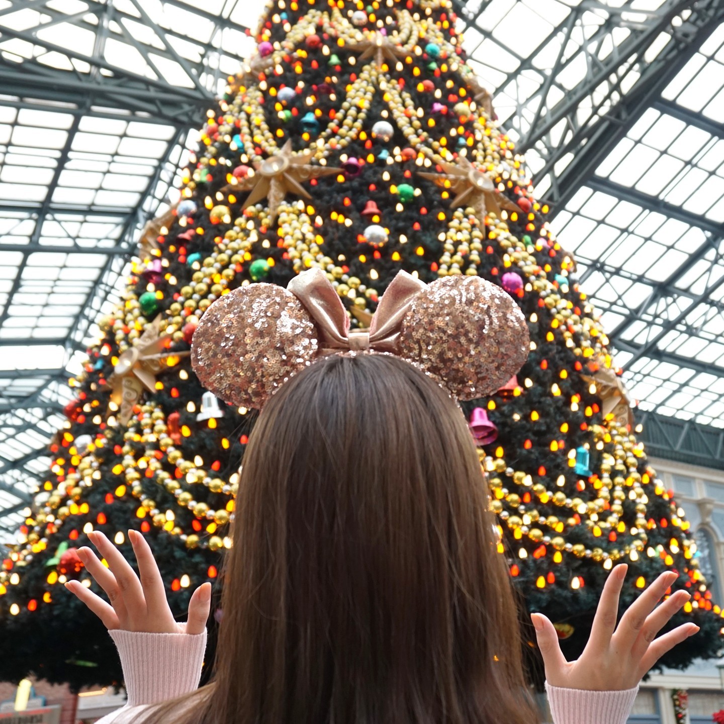 ムーラン ムシュー スカジャン 東京ディズニーリゾート公式
