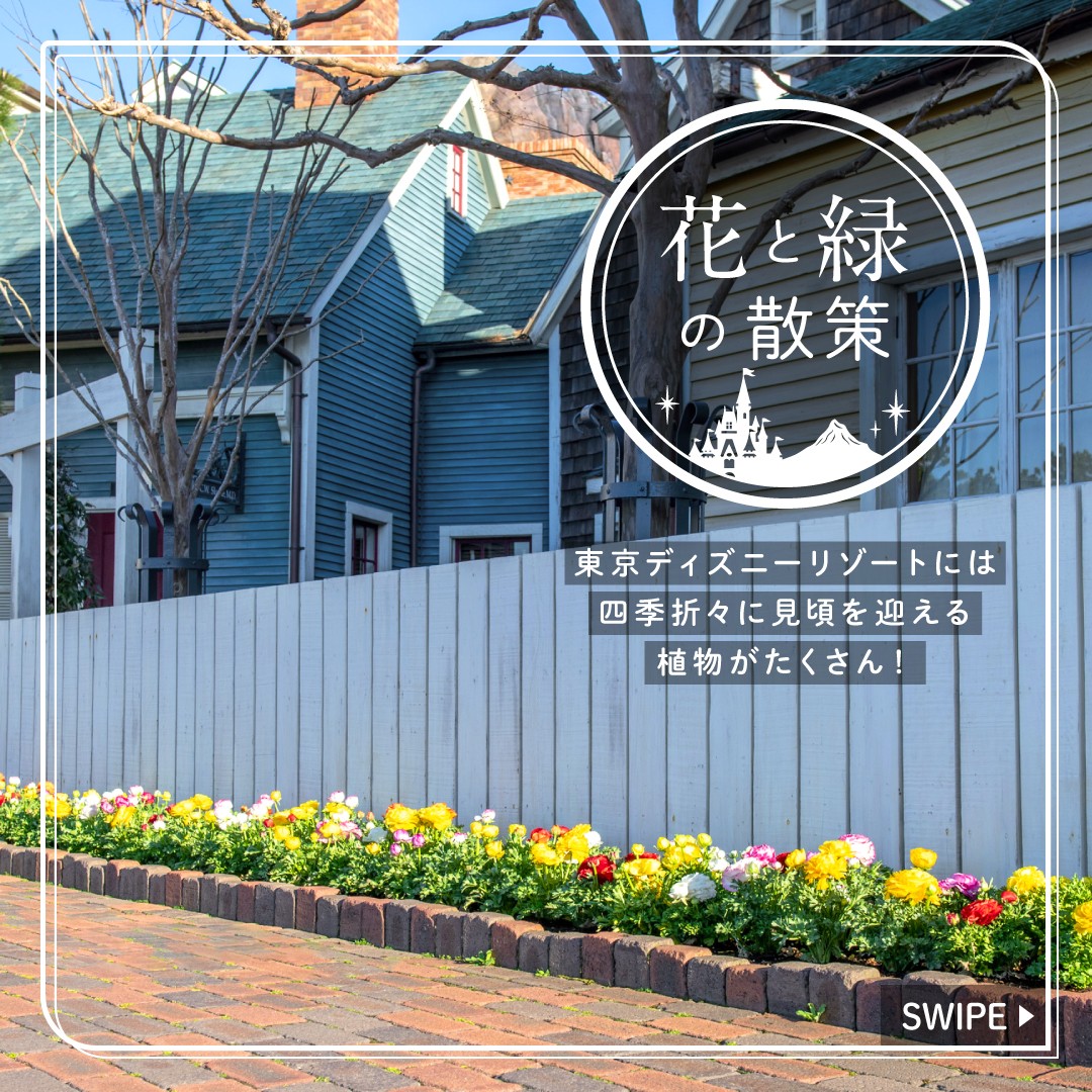 Dfbiycrcukvy0m Dfbiycrcukvy0m