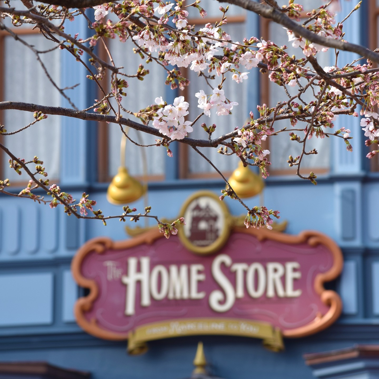 ⁡
東京ディズニーランド「ホームストア」近くの #ソメイヨシノ が咲きはじめました
⁡
これから満開を迎えるのが待ち遠しいですね。...