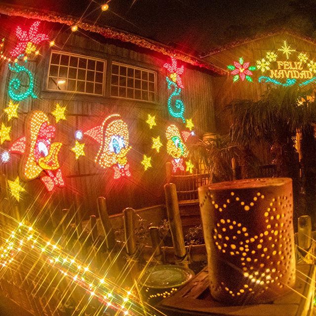 Festive and colorful decorations!キラキラキラキラ✨#disneychristmas #miguelseldoradocantina...のイメージ