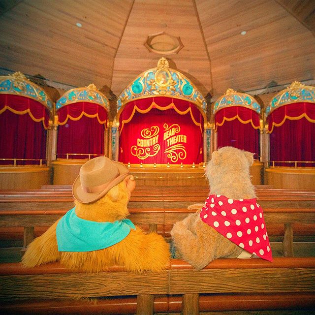公式 検索結果 東京ディズニーリゾート