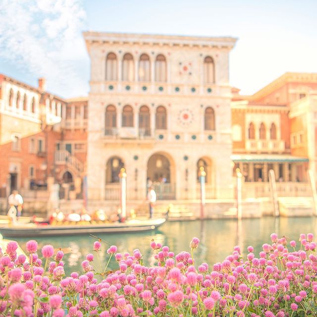 Sunshine on an autumn day.さわやかな秋晴れ☆#venetiangondolas #mediterraneanharbor...のイメージ