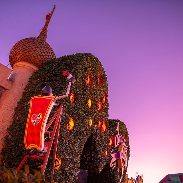 公式 検索結果 東京ディズニーリゾート 公式 検索結果 東京ディズニーリゾート