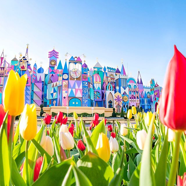 公式 イッツ ア スモールワールド 東京ディズニーランド 東京ディズニーリゾート 公式 イッツ ア スモールワールド 東京ディズニーランド 東京ディズニーリゾート