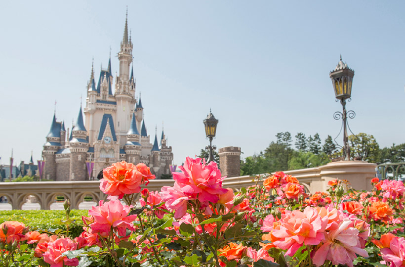 公式 東京ディズニーリゾート